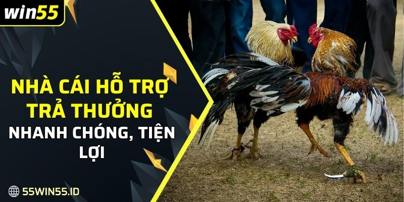 Nhà cái hỗ trợ trả thưởng nhanh chóng, tiện lợi