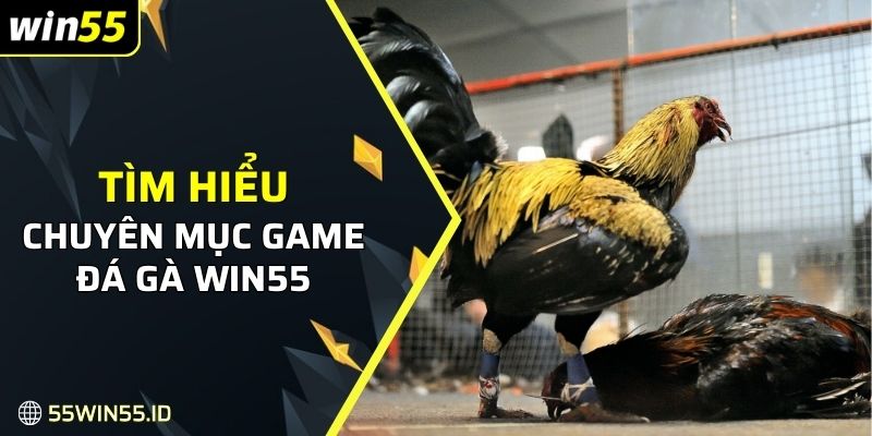 Tìm hiểu về chuyên mục game đá gà WIN55