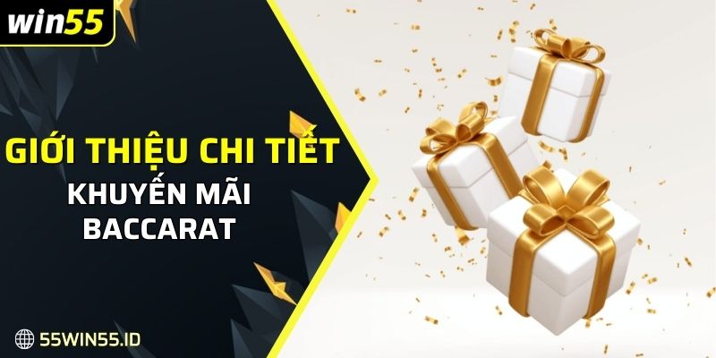 Giới thiệu chi tiết về khuyến mãi