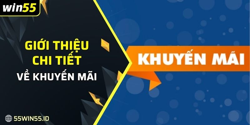 Giới thiệu chi tiết về khuyến mãi